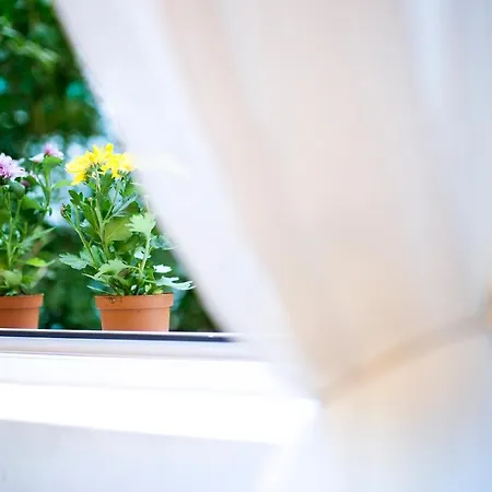 Center Designer 1 Minute To Ndk&vitosha By Flat Mаnager 公寓 索菲亞