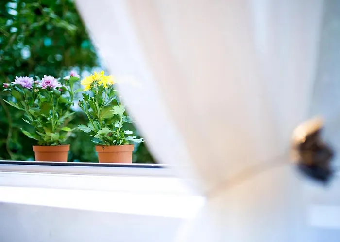 Center Designer 1 Minute To Ndk&vitosha By Flat Mаnager 公寓 索菲亞